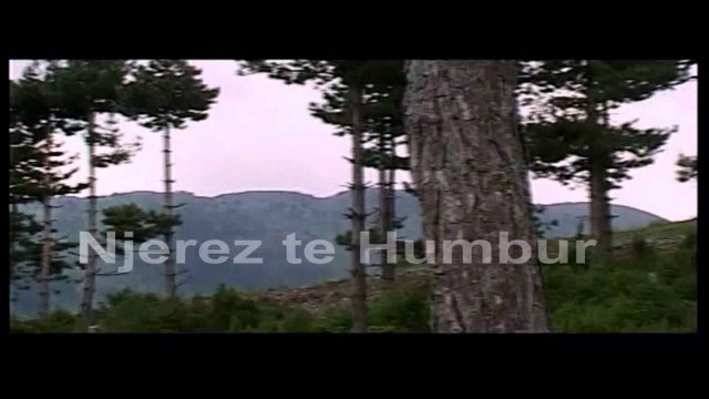 Njerez te Humbur - Bledion Terpollari (Kronike investigative Arkiv 2008)