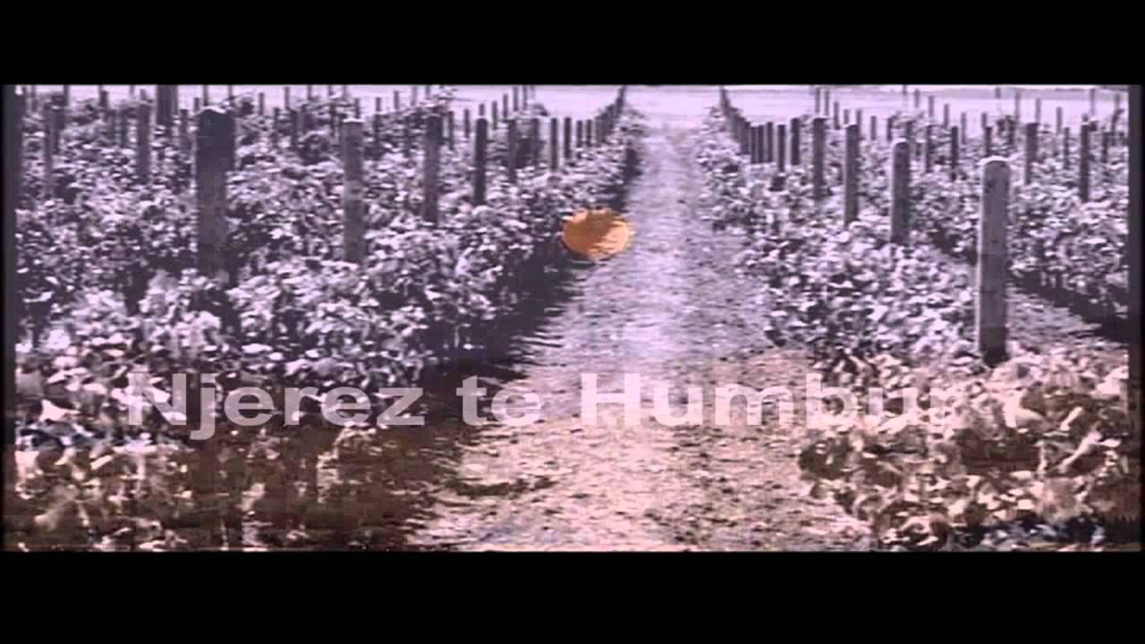 KRONIKA GJELOSH CECA