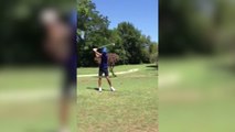 Golf - Insolite : Djokovic et la babate