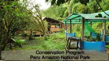 Volunteer Abroad Conservation Program Peru Amazons National Park Abroaderview.org