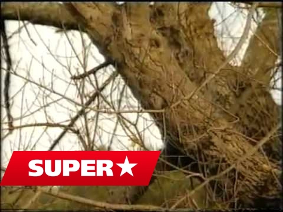 Grupi Permbi Tepelene - Esmerke me ishe moj (Official)