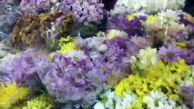 Explore flower market in bangkok  Pak Klong Talat  a big wholesale flowers market