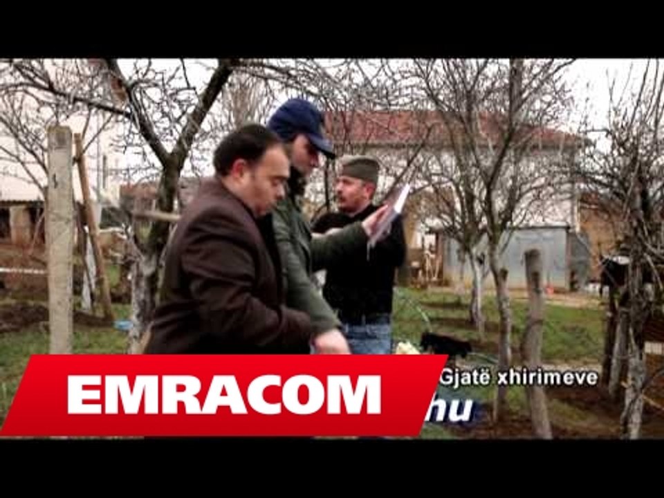 Ujqit - Skech fundit