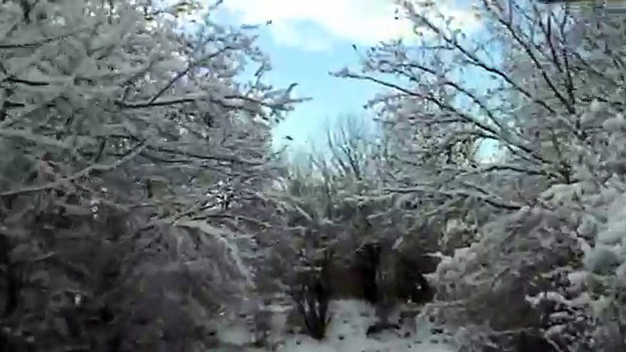 LJUBA LUKIC - SNEG JE PAO STAZE ZAVEJAO