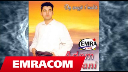 Adem Ramadani   Dy zogj t'malit