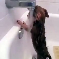 熊敏皇冠 Craziest Videos - Morning Shower