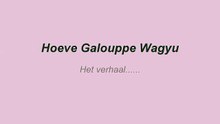 Hoeve Galouppe Wagyu