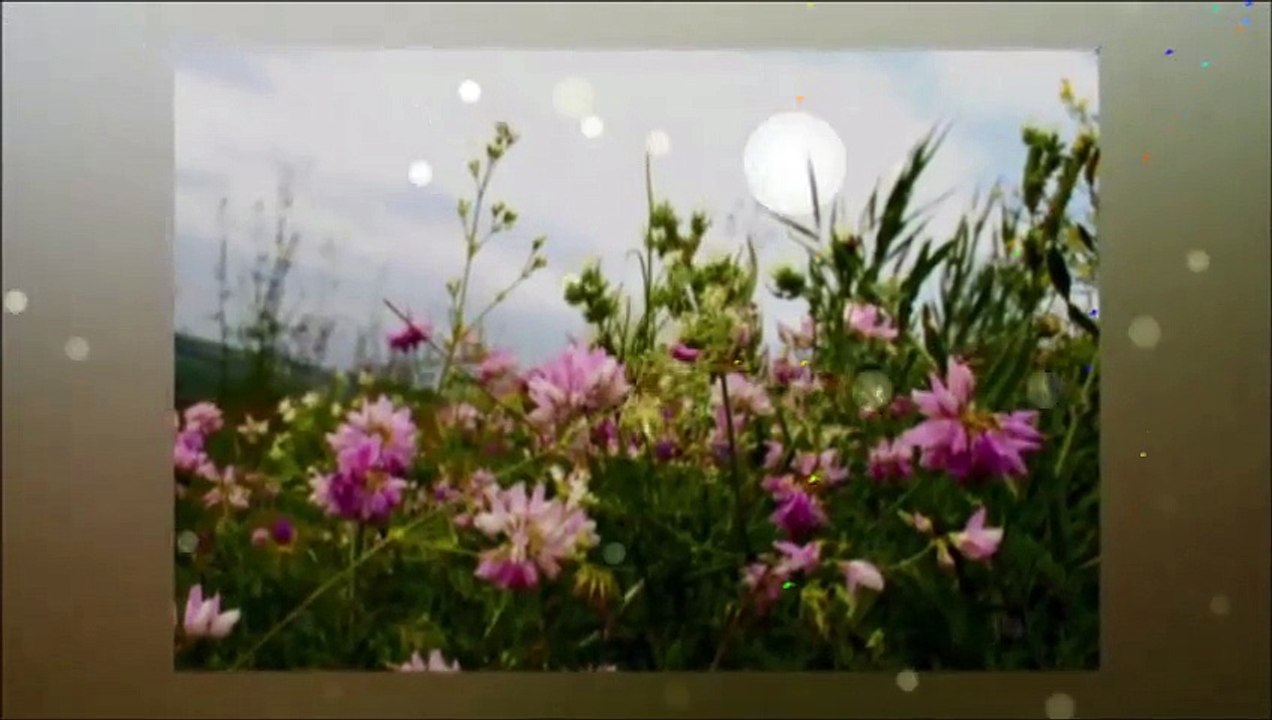 Ioana Radu-La puțul cu trei izvoare