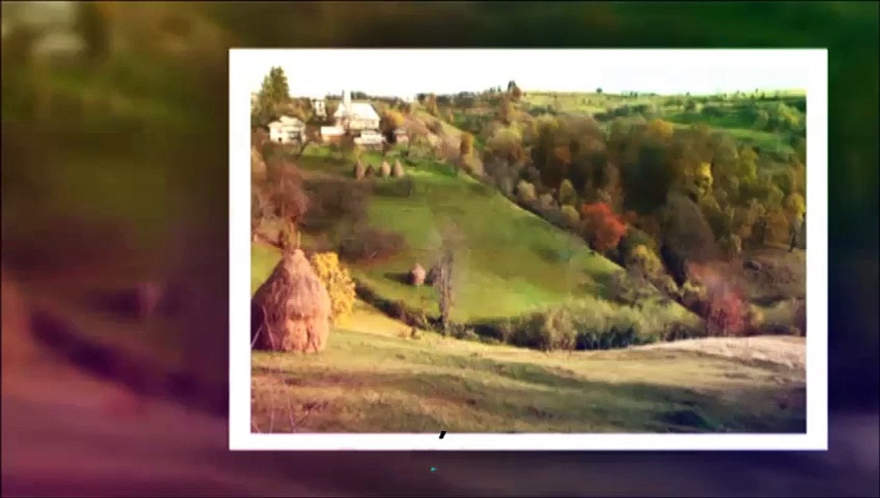 Capitane de judet-Dan Moisescu