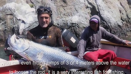 Pesca submarina extrema del tarpón o sábalo con Joseba Kerejeta en Isla Margarita, Venezuela