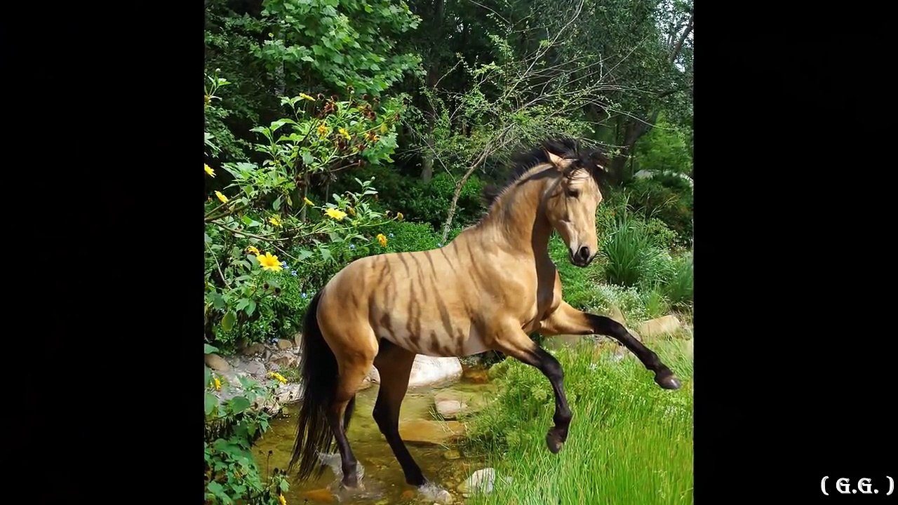 Edvard Hagerup GRIEG - Peer Gynt Suite no.1, Op 46 no.1, Morning Mood