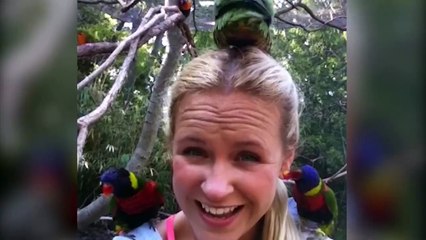 Birds Who Don’t Give A Sh*t