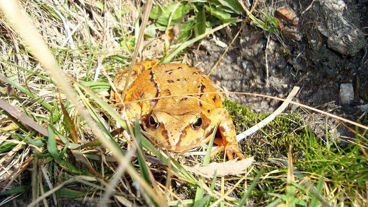 Naturpark Riedingtal - Wandern Salzburg - Hiking Austria Alps- Slideshow & Instrumental Music_Berge
