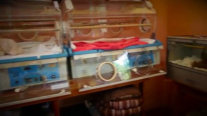 cute baby sloth in costa rica, meet Hope