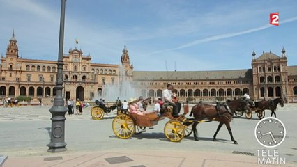 Expat-Seville