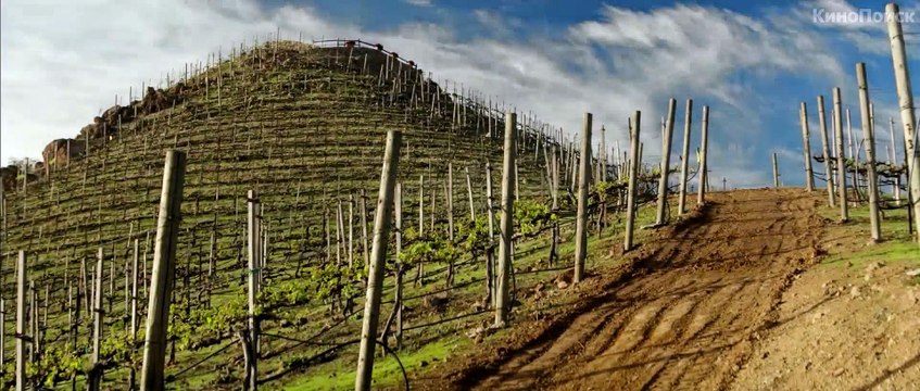 Видения Visions, 2015 Трейлер русский язык (дублированный)