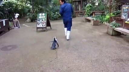 HES GOING TO GET YOU