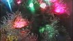 CATS IN CHRISTMAS TREES   AFV HOLIDAY COMPILATION   AFV