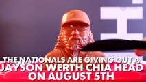 Time lapse: Watch the Jayson Werth chia pet grow a gnarly chia beard