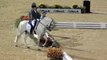 Fuego XII and Juan Manuel Munoz Diaz at 2010 WEG Grand Prix Freestyle