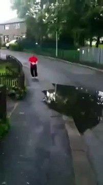 Bu kadar da olmaz ki