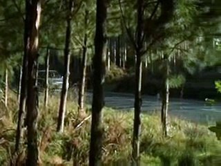 Yo creo que si me quisieses de verdad, me traerías aquella flor de allí