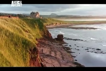 Animal Cops: Scottish SPCA ep 5