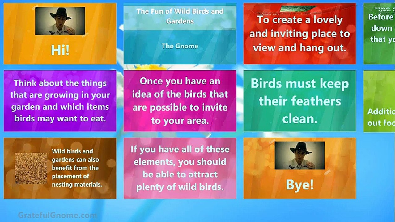 The Fun of Wild Birds and Gardens