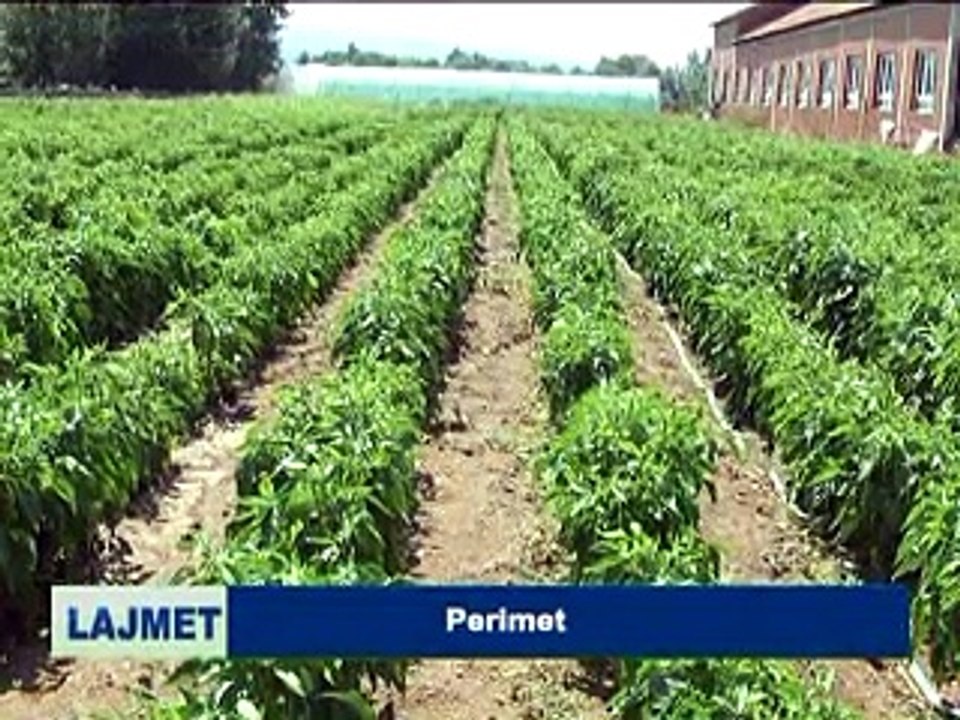 Lajmet 04.08.2015