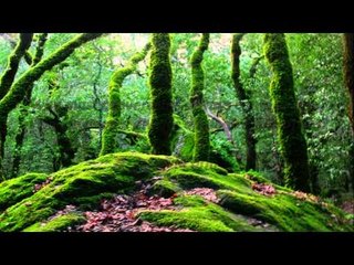 Carpe Diem Quotes #06