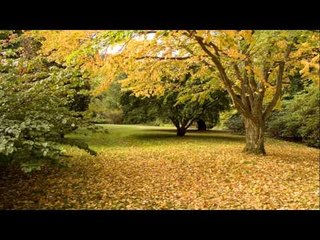 Carpe Diem Quotes #21