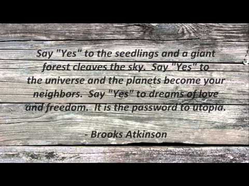 Attitude Quotes #25
