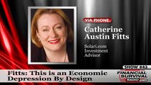 This is NOT an Economic Collapse, says Catherine Austin Fitts, It's an Economic Re-Engineering
