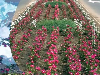 Vesti na vlaškom jeziku, 04. avgust 2015. (RTV Bor)