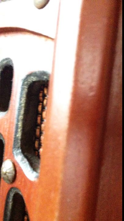 Say Hello; A Children's Song By Greg And Steve