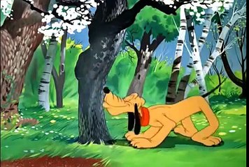 Pluto Cartoon _ Springtime For Pluto