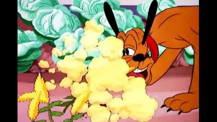 Pluto Cartoon Bone Bandit