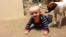 Family Dog Teaches Baby How to Crawl