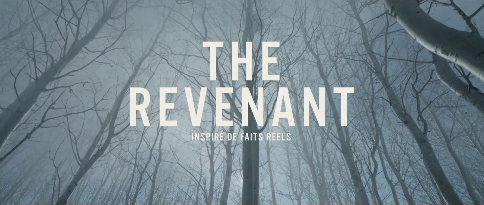 The Revenant - Bande-Annonce Teaser [VF|HD1080p]
