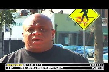 The Puppy Imprinter: CH 4 The Journey Continues Big Dane drops by for a Sec