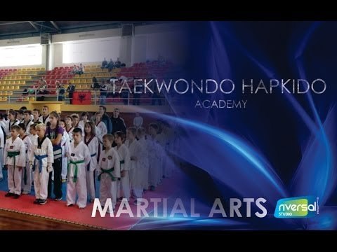 Taekwondo Hapkido Academy Tiger - Kids Class