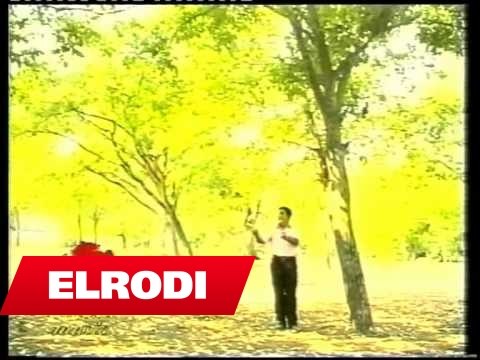 Luan Rrapushi - Do ta marr nusen korcare (Official Song)