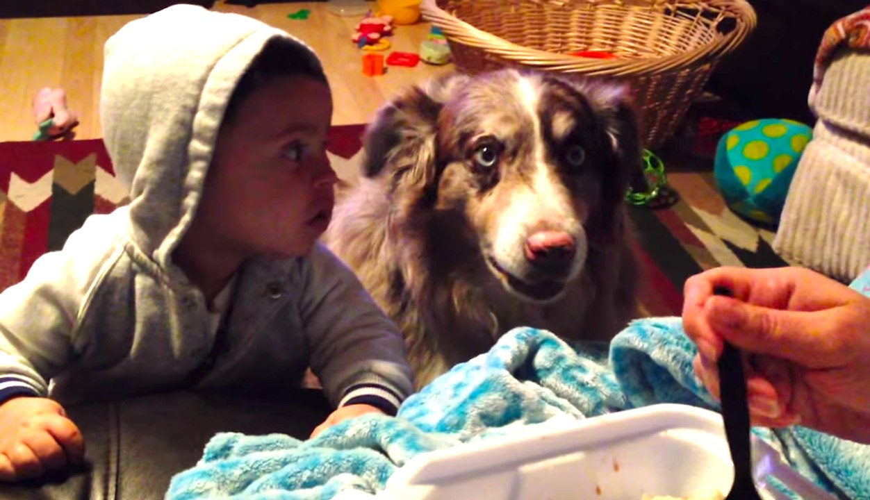 TALKING DOG Says "Mama" Better Than Baby | What's Trending Now