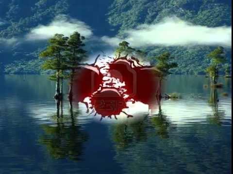 DALLGË DETI E DALLGË SHPIRTI Poezi Nga Agim Gashi Lexoi Dani Realizoi RADIO ZERI ILIRIDES