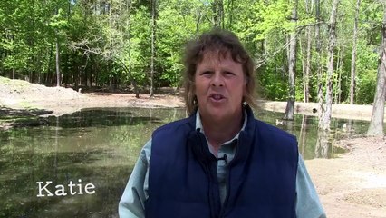 Rescued Ducklings Swim for the First Time