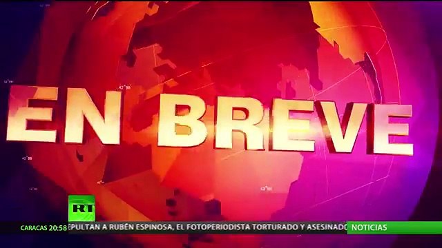 Buenos Aires: Ballena varada en Puerto Madero sorprendió a turistas y habitantes
