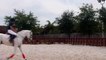 Horse Jumping Video at Star Stables Miami