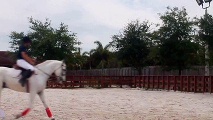 Horse Jumping Video at Star Stables Miami