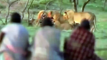 [Tin Việt TV] Những Thằng Nguy Hiểm Nhất Hành Tinh P8