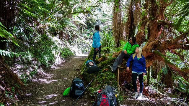 Intern Heaven - Year-Round University Internships, and Summer School